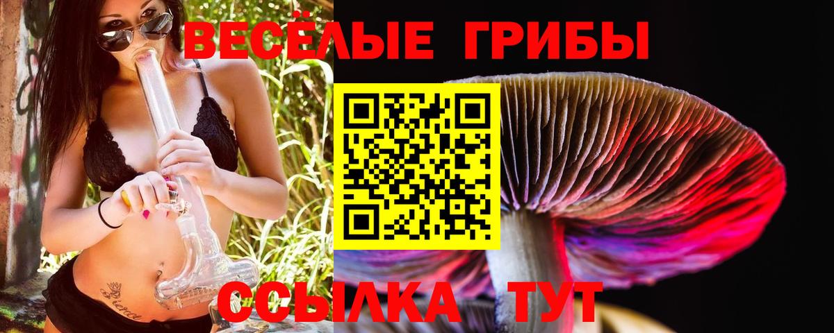 Псилоцибиновые грибы мицелий Чернушка