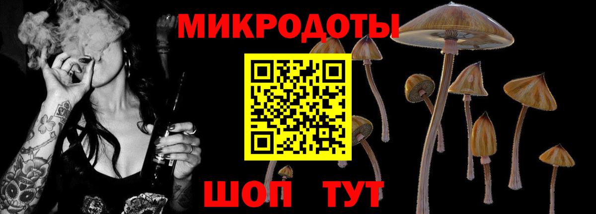 где продают наркотики  Псилоцибиновые грибы MAGIC MUSHROOMS  Вход с VPN  Чернушка 